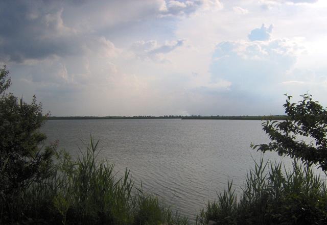 Doar ... NATURA - 4 - im000475.JPG